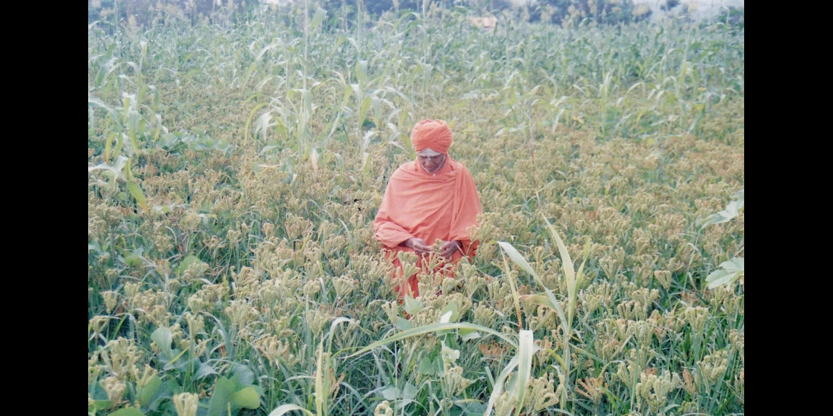 Sri Kshetra Maralegavi Mutt